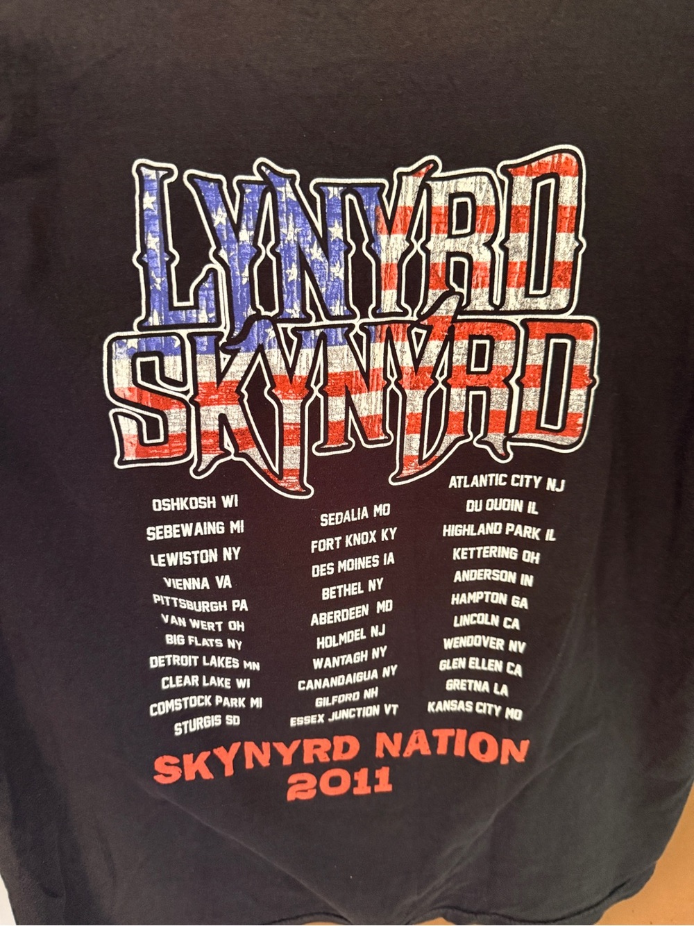 Vintage Lynyrd Skynyrd Black T‑Shirt with USA Red, White & Blue Graphic 2011